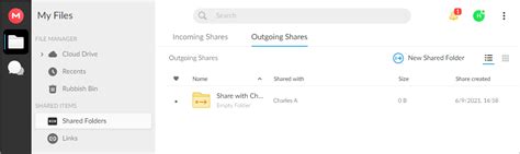mega file hosting